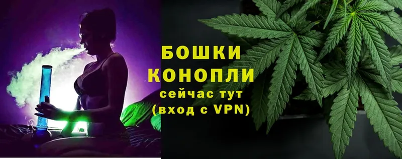 Канабис OG Kush  Норильск 